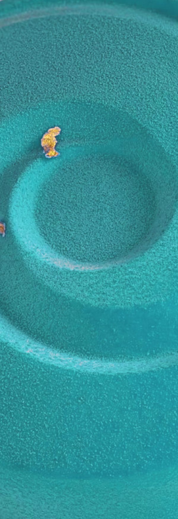 Vortex* - Imagen 2